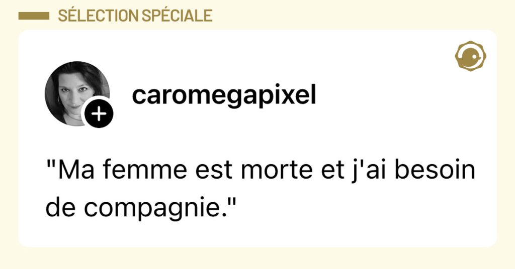 Post de @caromegapixel : ""Ma femme est morte et j'ai besoin de compagnie.""