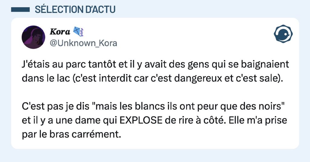 tweete de Unknown_Kora : "J'&eacute;tais au parc tant&ocirc;t et il y avait des gens qui se baignaient dans le lac (c'est interdit car c'est dangereux et c'est sale). C'est pas je dis "mais les blancs ils ont peur que des noirs" et il y a une dame qui EXPLOSE de rire &agrave; c&ocirc;t&eacute;. Elle m'a prise par le bras carr&eacute;ment."