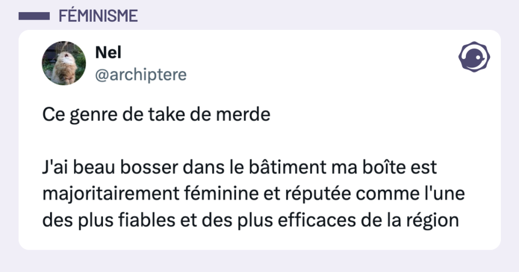 Post vignette de @archiptere disant "Ce genre de take de merde J'ai beau bosser dans le bâtiment ma boîte est majoritairement féminine et réputée comme l'une des plus fiables et des plus efficaces de la région"