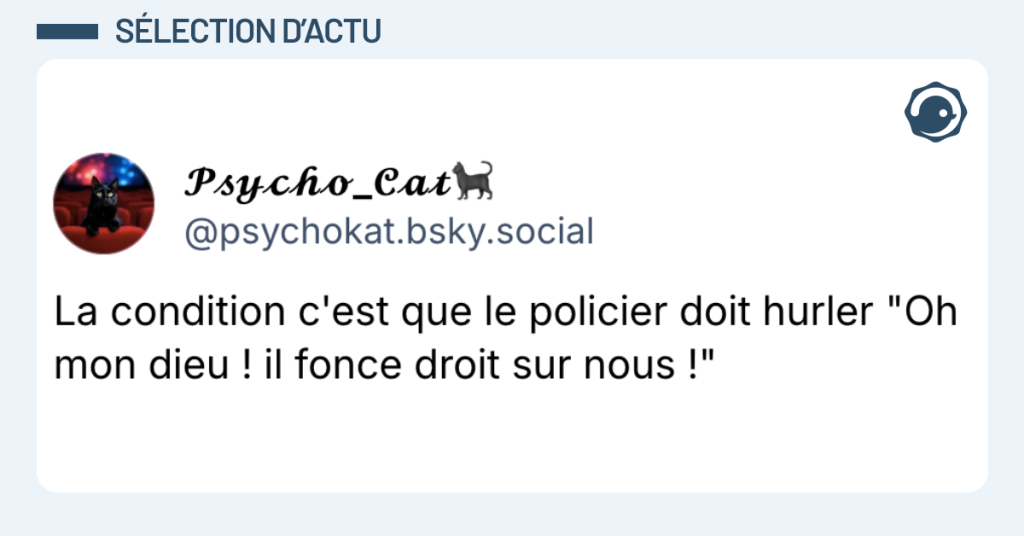 Post vignette de @psychokat disant "La condition c'est que le policier doit hurler "Oh mon dieu ! il fonce droit sur nous !"