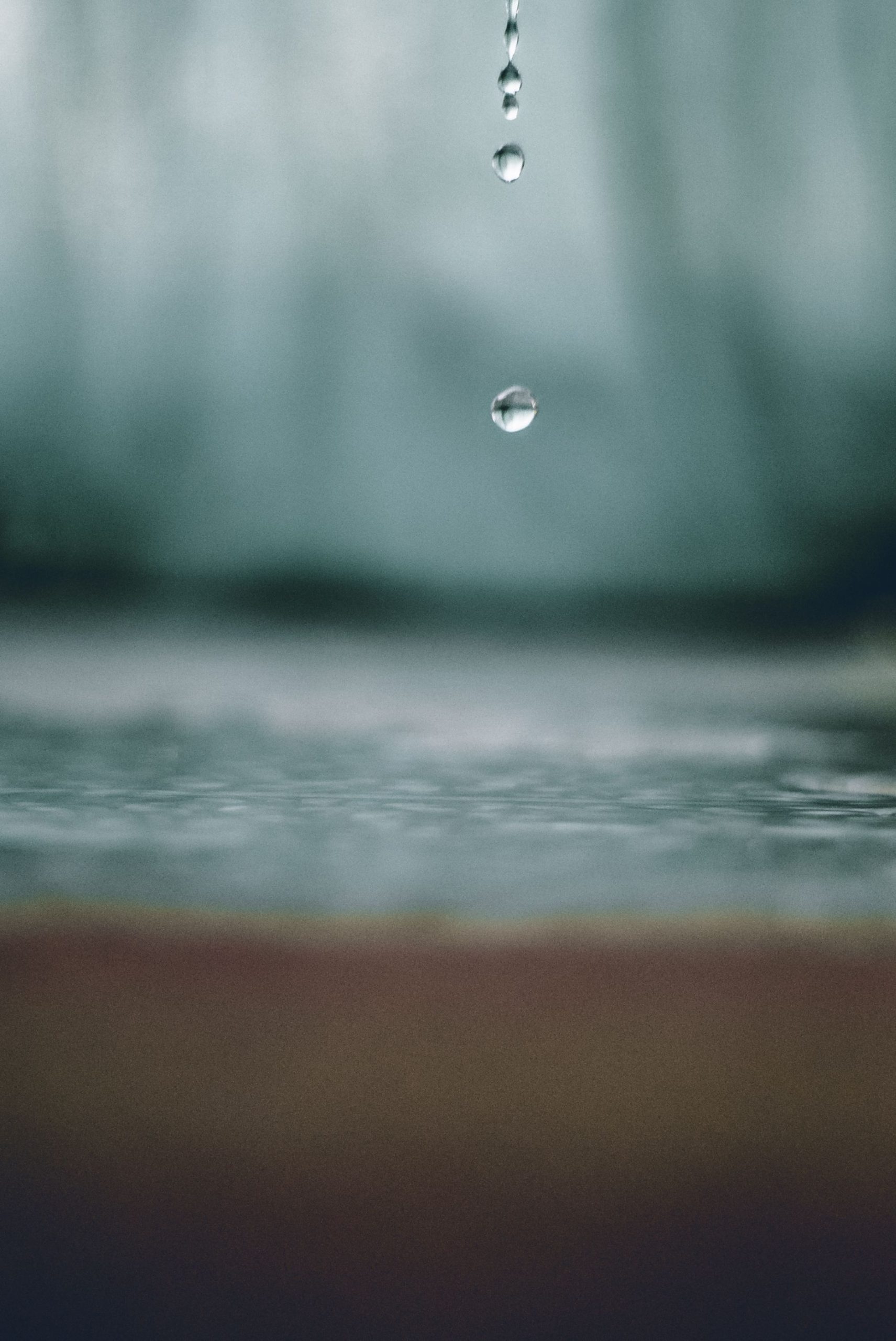 goutte