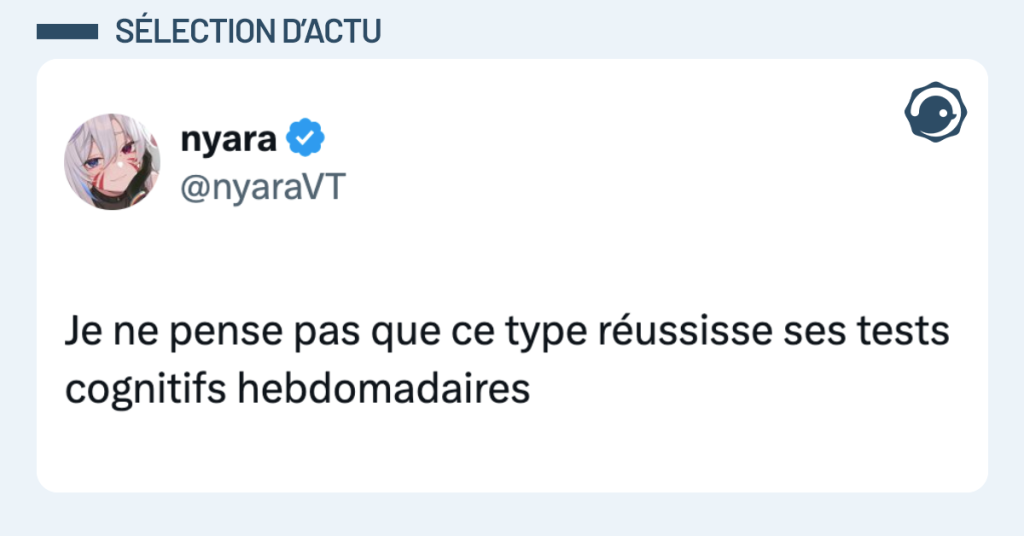 Post vignette de @nyaraVT disant "Je ne pense pas que ce type réussisse ses tests cognitifs hebdomadaires"