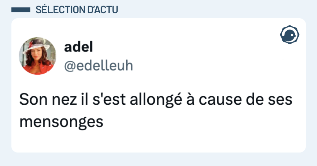 Post vignette de @edelleuh disant "Son nez il s'est allongé à cause de ses mensonges"