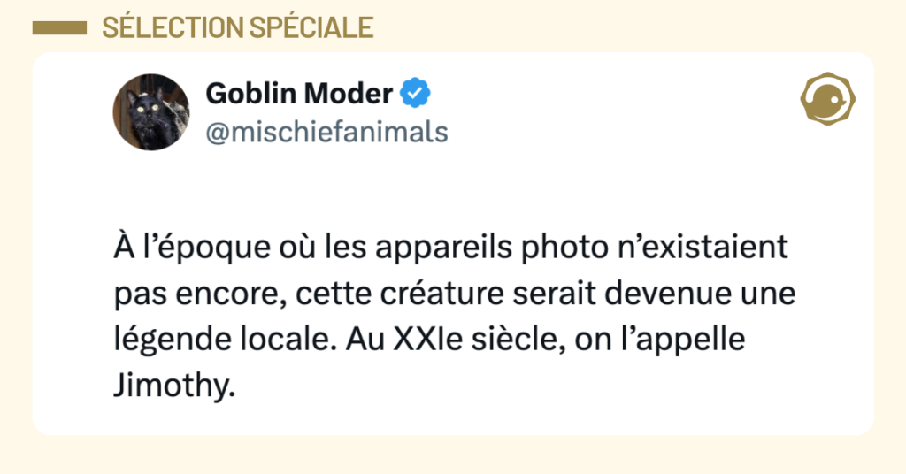 Post vignette de @mischiefanimals disant "&Agrave; l&rsquo;&eacute;poque o&ugrave; les appareils photo n&rsquo;existaient pas encore, cette cr&eacute;ature serait devenue une l&eacute;gende locale. Au XXIe si&egrave;cle, on l&rsquo;appelle Jimothy."