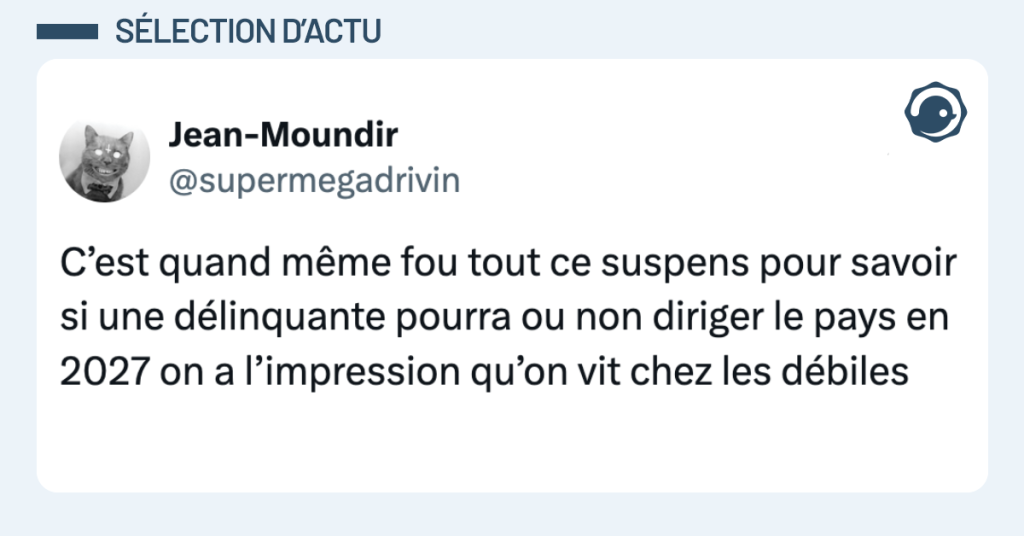 Post vignette de @supermegadrivin disant "C’est quand même fou tout ce suspens pour savoir si une délinquante pourra ou non diriger le pays en 2027 on a l’impression qu’on vit chez les débiles"