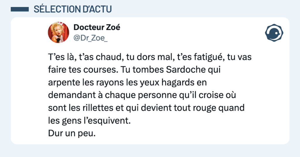 Post vignette de @Dr_Zoe_ disant "T&rsquo;es l&agrave;, t&rsquo;as chaud, tu dors mal, t&rsquo;es fatigu&eacute;, tu vas faire tes courses. Tu tombes Sardoche qui arpente les rayons les yeux hagards en demandant &agrave; chaque personne qu&rsquo;il croise o&ugrave; sont les rillettes et qui devient tout rouge quand les gens l&rsquo;esquivent. Dur un peu."