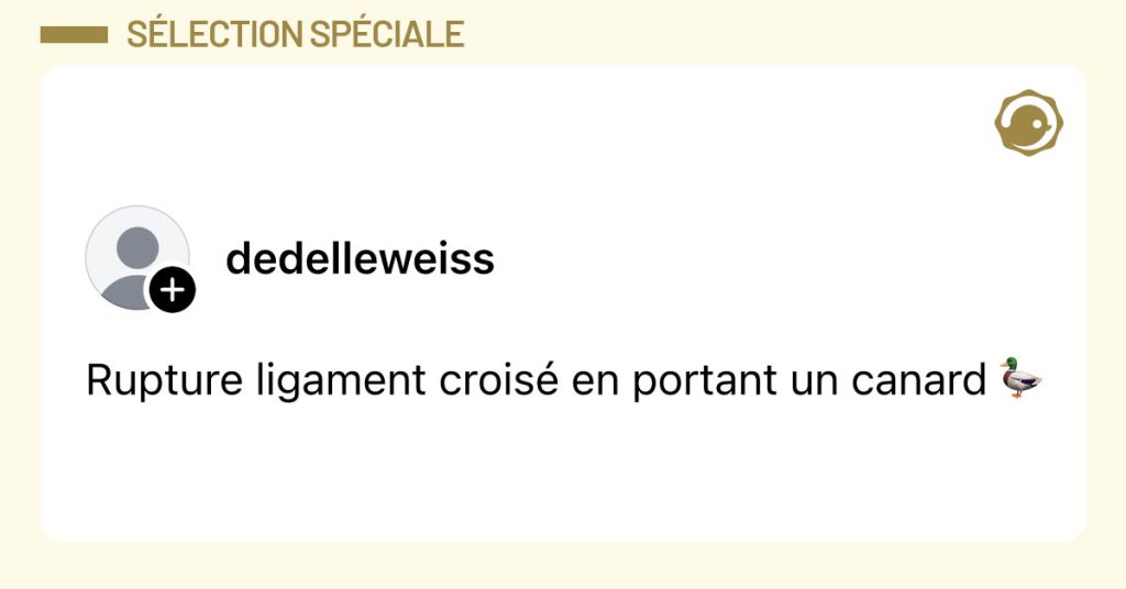 Post de @dedelleweiss : "Rupture ligament crois&eacute; en portant un canard 🦆"