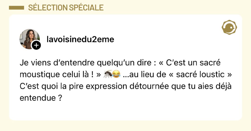 Post de @lavoisinedu2eme : "Je viens d&rsquo;entendre quelqu&rsquo;un dire : &laquo; C&rsquo;est un sacr&eacute; moustique celui l&agrave; ! &raquo; 🦟😂 &hellip;au lieu de &laquo; sacr&eacute; loustic &raquo; C&rsquo;est quoi la pire expression d&eacute;tourn&eacute;e que tu aies d&eacute;j&agrave; entendue ?"