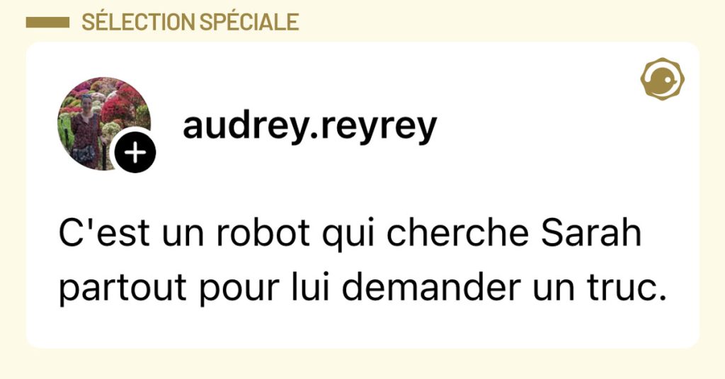 Post de @audrey.reyrey : "C'est un robot qui cherche Sarah partout pour lui demander un truc."