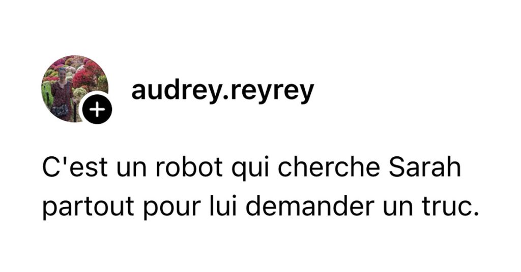 Post de @audrey.reyrey : "C'est un robot qui cherche Sarah partout pour lui demander un truc."