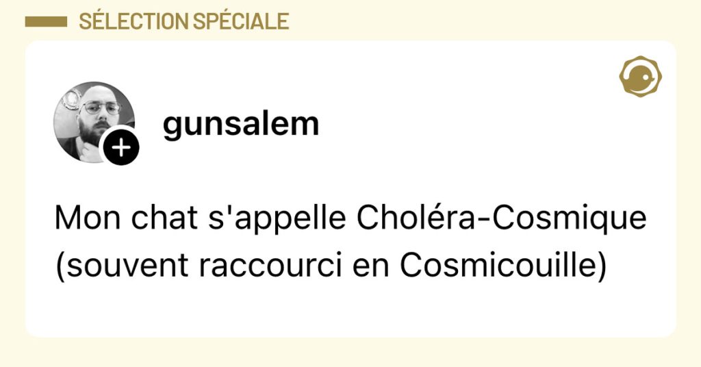 Post de @gunsalem : "Mon chat s'appelle Choléra-Cosmique (souvent raccourci en Cosmicouille)"