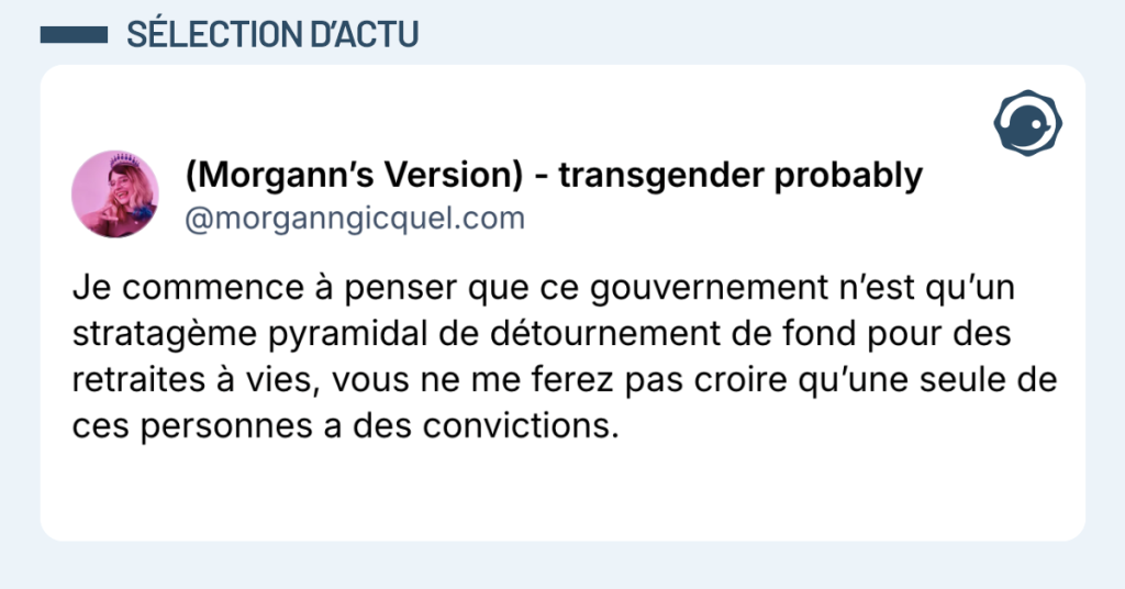 Post vignette de @morganngicquel disant "Je commence à penser que ce gouvernement n’est qu’un stratagème pyramidal de détournement de fond pour des retraites à vies, vous ne me ferez pas croire qu’une seule de ces personnes a des convictions."