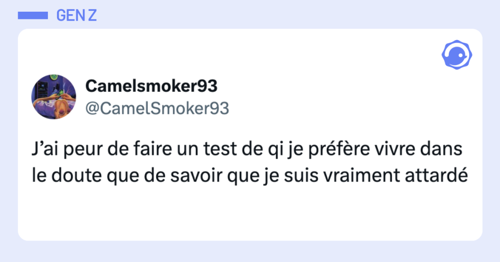 Post vignette de @CamelSmoker93 disant "J&rsquo;ai peur de faire un test de qi je pr&eacute;f&egrave;re vivre dans le doute que de savoir que je suis vraiment attard&eacute;"
