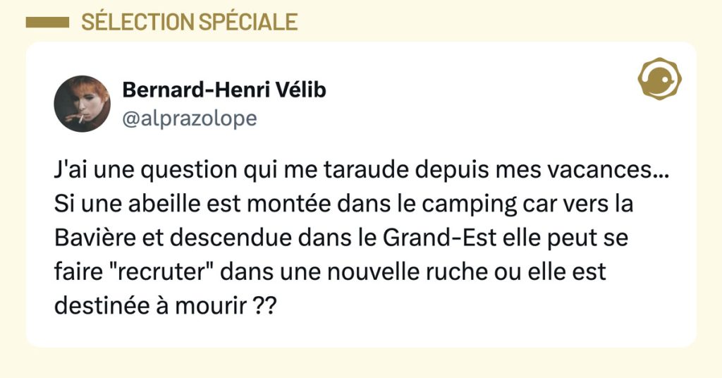 Tweet de @alprazolope : "J'ai une question qui me taraude depuis mes vacances... Si une abeille est montée dans le camping car vers la Bavière et descendue dans le Grand-Est elle peut se faire "recruter" dans une nouvelle ruche ou elle est destinée à mourir ??"