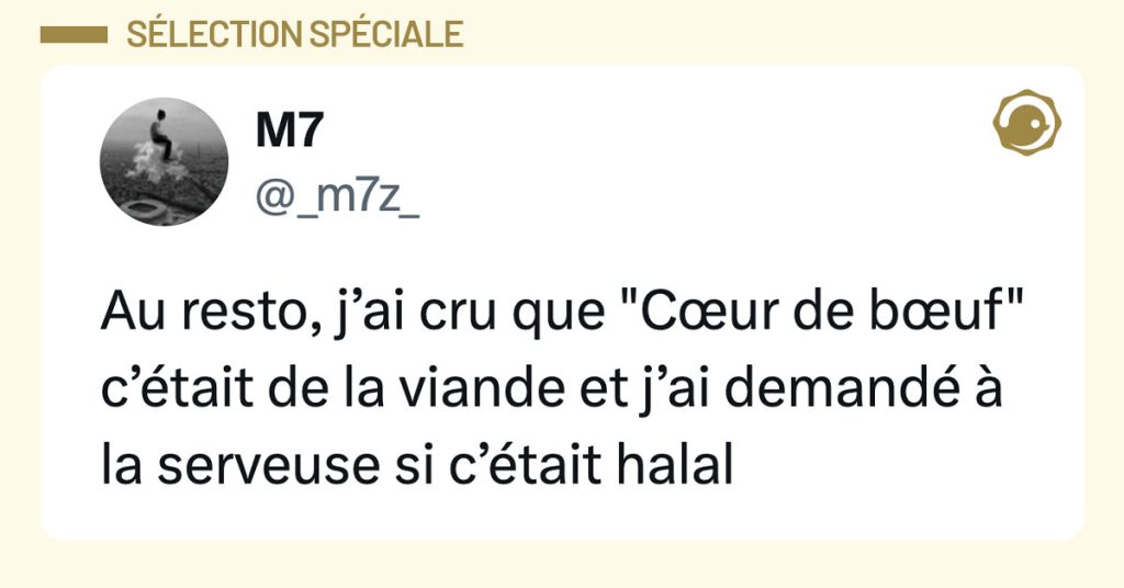 Post de @_m7z_ : "Au resto, j&rsquo;ai cru que "C&oelig;ur de b&oelig;uf" c&rsquo;&eacute;tait de la viande et j&rsquo;ai demand&eacute; &agrave; la serveuse si c&rsquo;&eacute;tait halal"