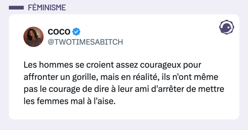 Post vignette de @TWOTIMESABITCH disant "Les hommes se croient assez courageux pour affronter un gorille, mais en r&eacute;alit&eacute;, ils n'ont m&ecirc;me pas le courage de dire &agrave; leur ami d'arr&ecirc;ter de mettre les femmes mal &agrave; l'aise."