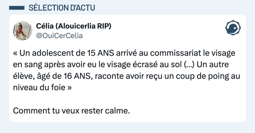 Post vignette de @OuiCerCelia disant "&laquo; Un adolescent de 15 ANS arriv&eacute; au commissariat le visage en sang apr&egrave;s avoir eu le visage &eacute;cras&eacute; au sol (&hellip;) Un autre &eacute;l&egrave;ve, &acirc;g&eacute; de 16 ANS, raconte avoir re&ccedil;u un coup de poing au niveau du foie &raquo; Comment tu veux rester calme."