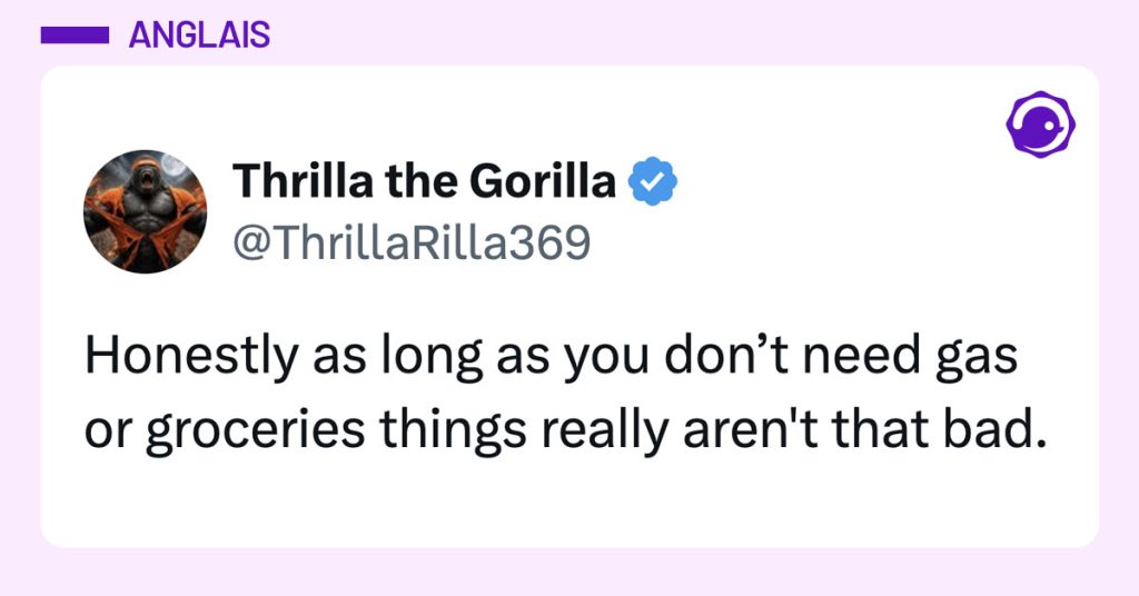 Tweet de @ThrillaRIlla369 : "Honestly as long as you don’t need gas or groceries things really aren't that bad."