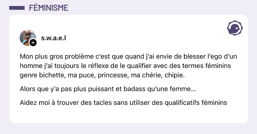 Post de @s.w.a.e.l : "Mon plus gros problème c’est que quand j’ai envie de blesser l’ego d’un homme j’ai toujours le réflexe de le qualifier avec des termes féminins genre bichette, ma puce, princesse, ma chérie, chipie. Alors que y’a pas plus puissant et badass qu’une femme… Aidez moi à trouver des tacles sans utiliser des qualificatifs féminins"