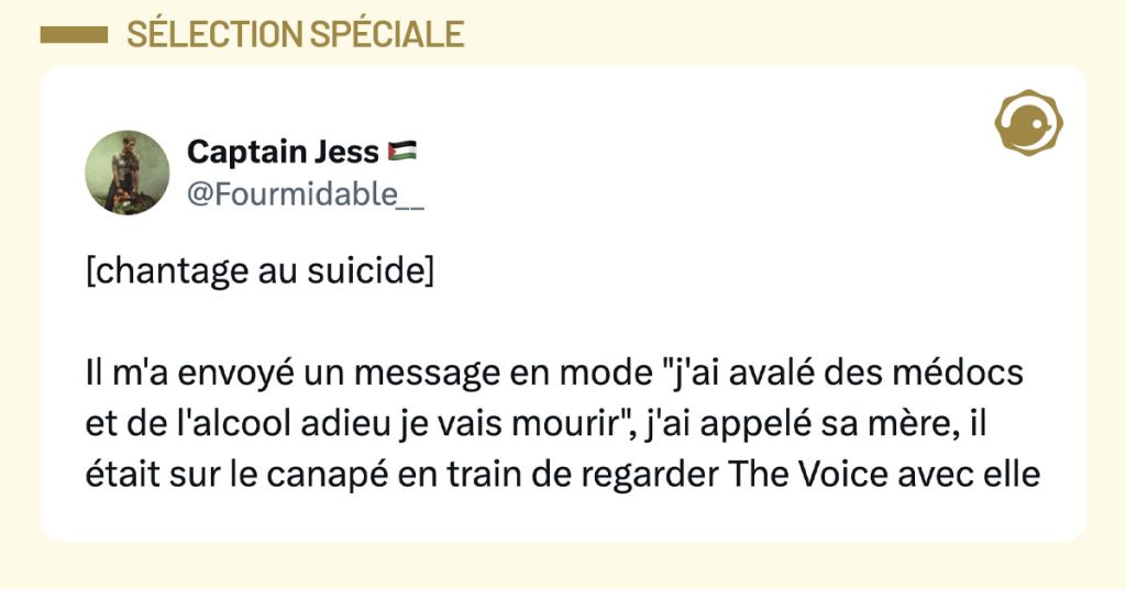 Post de @Fourmidable__ : "[chantage au suicide] Il m'a envoy&eacute; un message en mode "j'ai aval&eacute; des m&eacute;docs et de l'alcool adieu je vais mourir", j'ai appel&eacute; sa m&egrave;re, il &eacute;tait sur le canap&eacute; en train de regarder The Voice avec elle"
