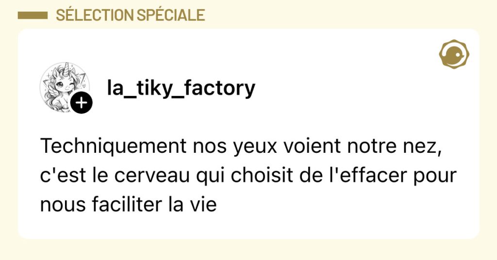 Post de @la_tiky_factory : "Techniquement nos yeux voient notre nez, c'est le cerveau qui choisit de l'effacer pour nous faciliter la vie"