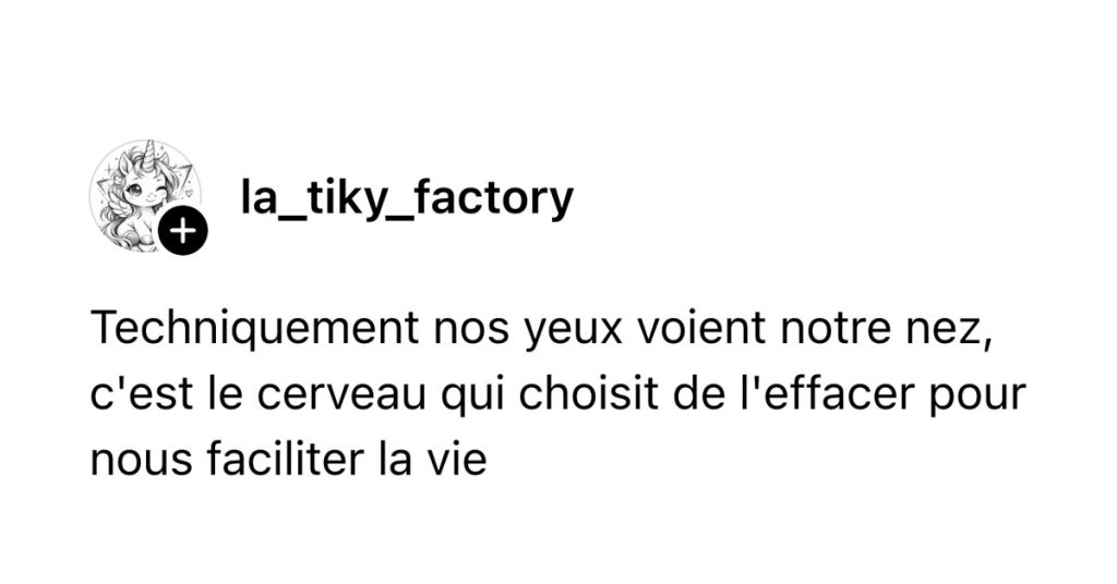 Post de @la_tiky_factory : "Techniquement nos yeux voient notre nez, c'est le cerveau qui choisit de l'effacer pour nous faciliter la vie"