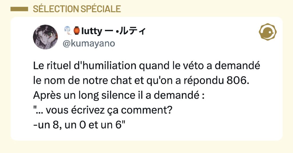 Tweet de @kumayano : "Le rituel d'humiliation quand le véto a demandé le nom de notre chat et qu'on a répondu 806. Après un long silence il a demandé : "... vous écrivez ça comment? -un 8, un 0 et un 6""