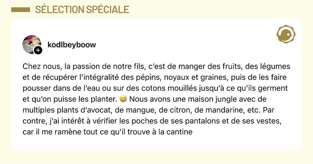 Post de @kodlbeyboow : "Chez nous, la passion de notre fils, c&rsquo;est de manger des fruits, des l&eacute;gumes et de r&eacute;cup&eacute;rer l&rsquo;int&eacute;gralit&eacute; des p&eacute;pins, noyaux et graines, puis de les faire pousser dans de l&rsquo;eau ou sur des cotons mouill&eacute;s jusqu&rsquo;&agrave; ce qu&rsquo;ils germent et qu&rsquo;on puisse les planter. 😅 Nous avons une maison jungle avec de multiples plants d&rsquo;avocat, de mangue, de citron, de mandarine, etc. Par contre, j&rsquo;ai int&eacute;r&ecirc;t &agrave; v&eacute;rifier les poches de ses pantalons et de ses vestes, car il me ram&egrave;ne tout ce qu&rsquo;il trouve &agrave; la cantine"