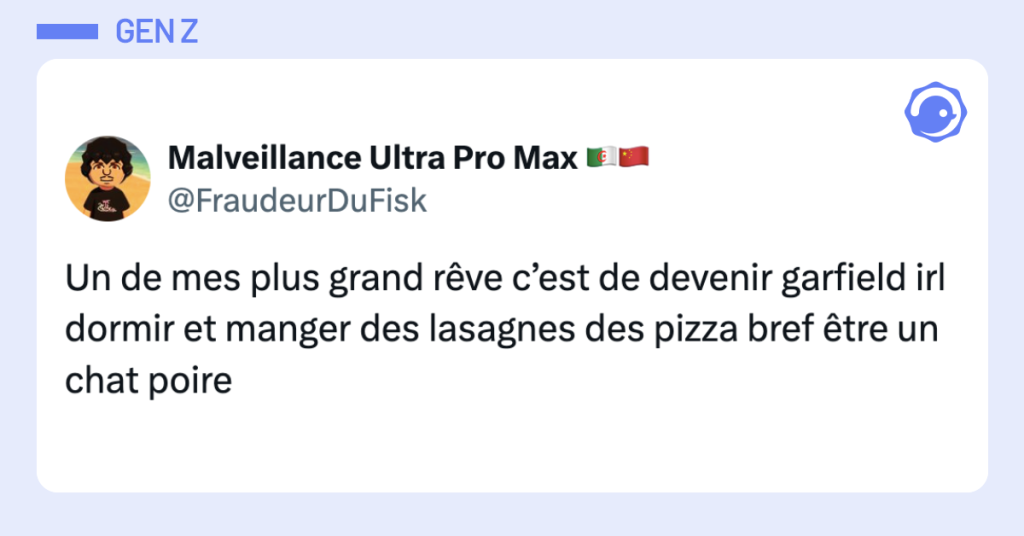 Post vignette de @FraudeurDuFisk disant "Un de mes plus grand rêve c’est de devenir garfield irl dormir et manger des lasagnes des pizza bref être un chat poire"