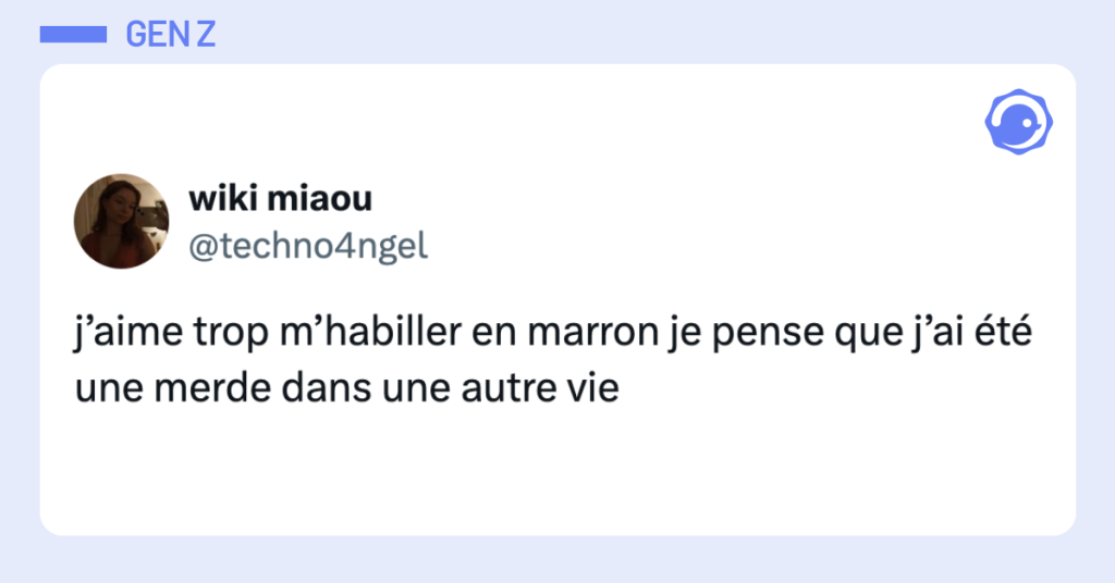 Post vignette de @techno4ngel disant "j'aime trop m'habiller en marron je pense que j'ai été une merde dans une autre vie"