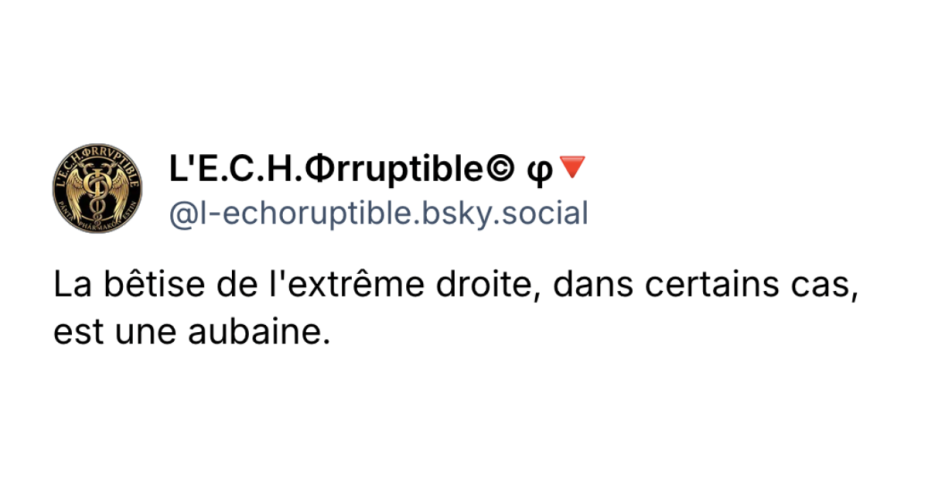 Image de couverture de l'article : L&rsquo;extr&ecirc;me droite a bien &eacute;t&eacute; aid&eacute;e par la police pendant la manifestation : c&rsquo;est elle-m&ecirc;me qui le dit !