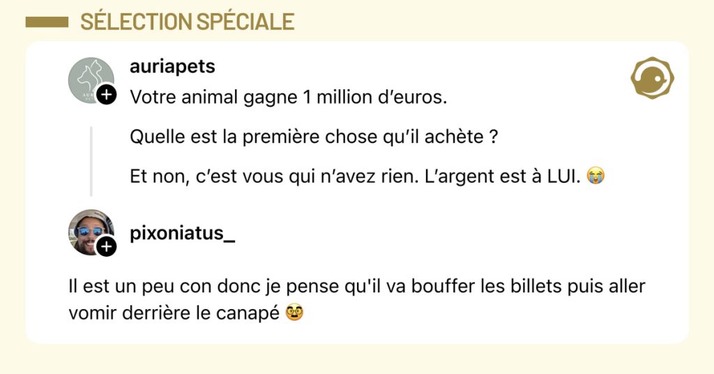 @auriapets1 poste "Votre animal gagne 1 million d&rsquo;euros. Quelle est la premi&egrave;re chose qu&rsquo;il ach&egrave;te ? Et non, c&rsquo;est vous qui n&rsquo;avez rien. L&rsquo;argent est &agrave; LUI. 😭" et @pixoniatus r&eacute;pond "Il est un peu con donc je pense qu'il va bouffer les billets puis aller vomir derri&egrave;re le canap&eacute; 🥸"