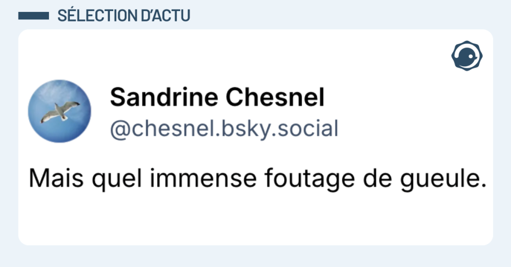Post vignette de @chesnel disant "Mais quel immense foutage de gueule."