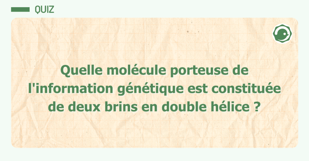 quiz : Quelle molécule porteuse de l'information génétique est constituée de deux brins en double hélice ?