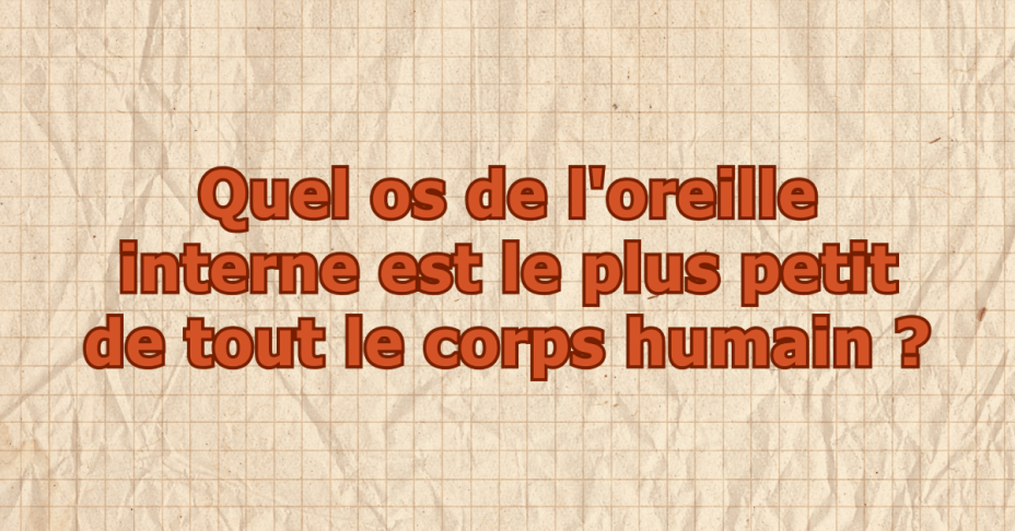 Image de couverture de l'article : On vous d&eacute;fie de d&eacute;crocher un 15/15 &agrave; ce quiz de culture g&eacute;n&eacute;rale !